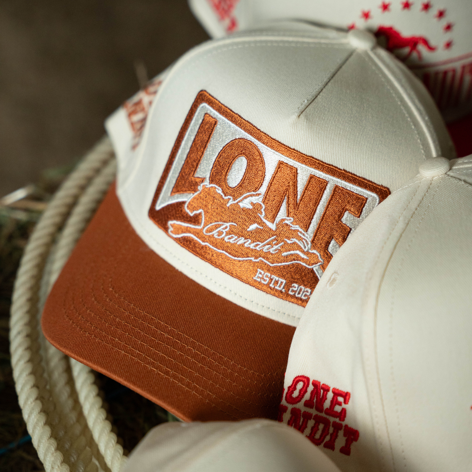 Badge Hat — image 3