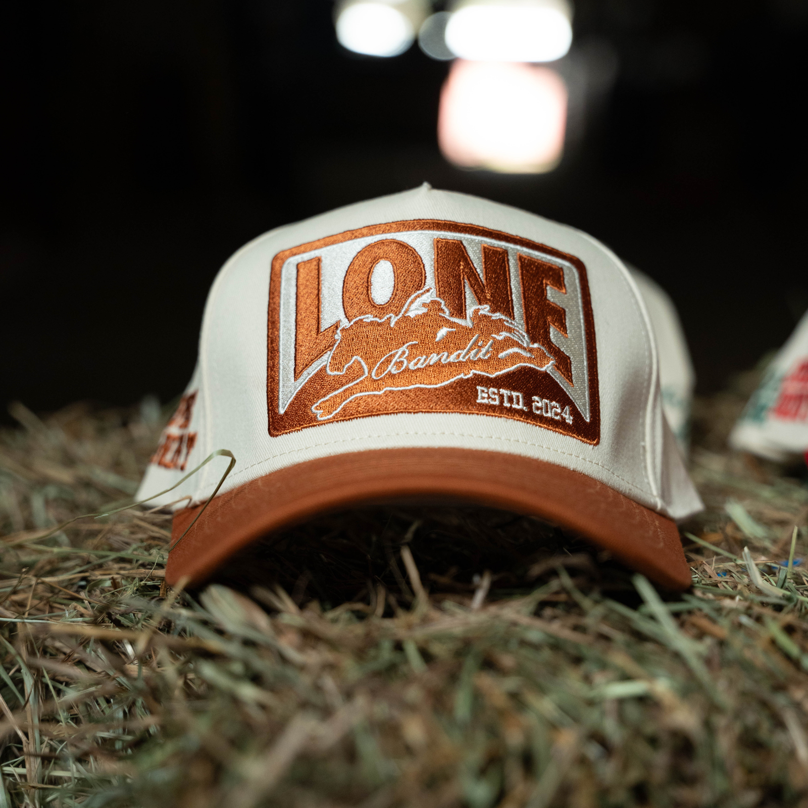 Badge Hat — image 2